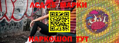 мдпв Кингисепп