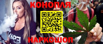 мдпв Кингисепп