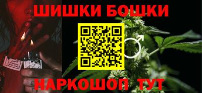 мдпв Кингисепп