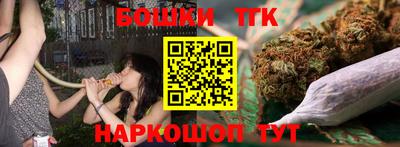 мдпв Кингисепп