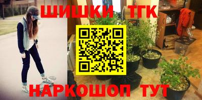 мдпв Кингисепп