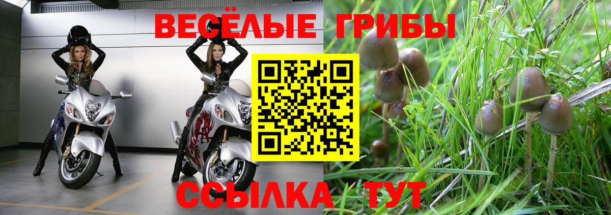 Псилоцибиновые грибы мухоморы Краснокаменск